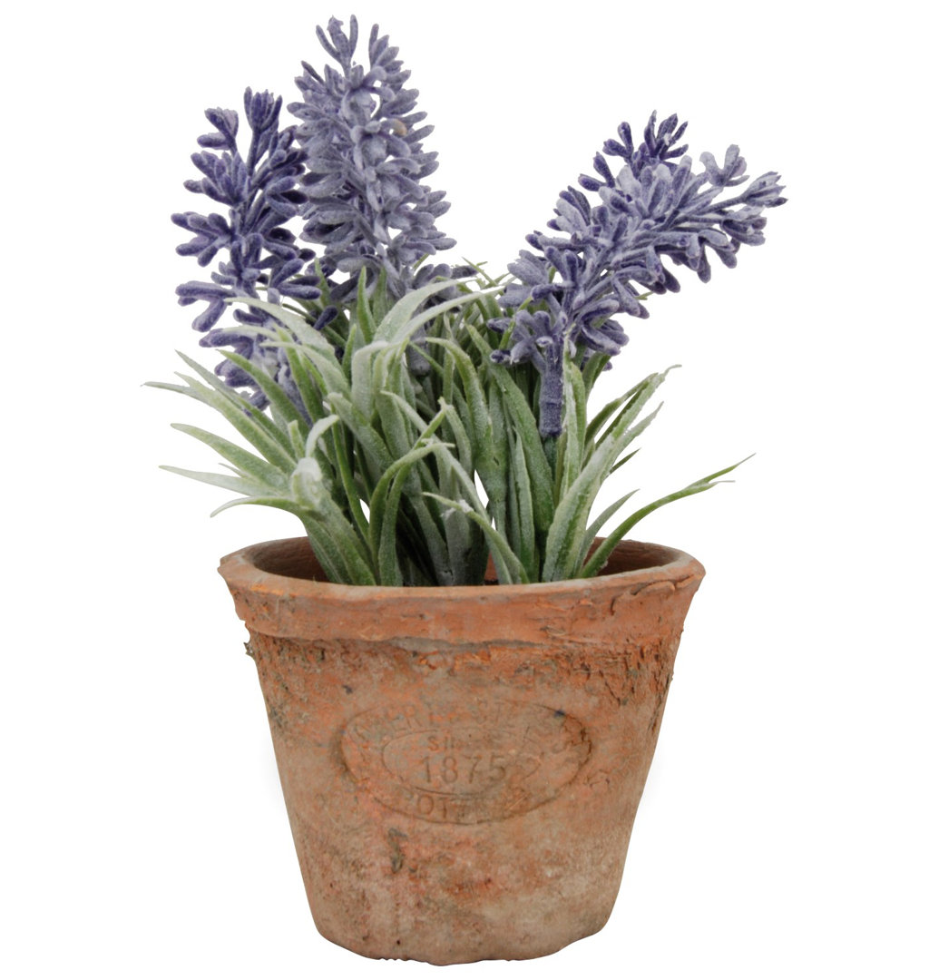 Artificial Lavender in Aged Terracotta Pot