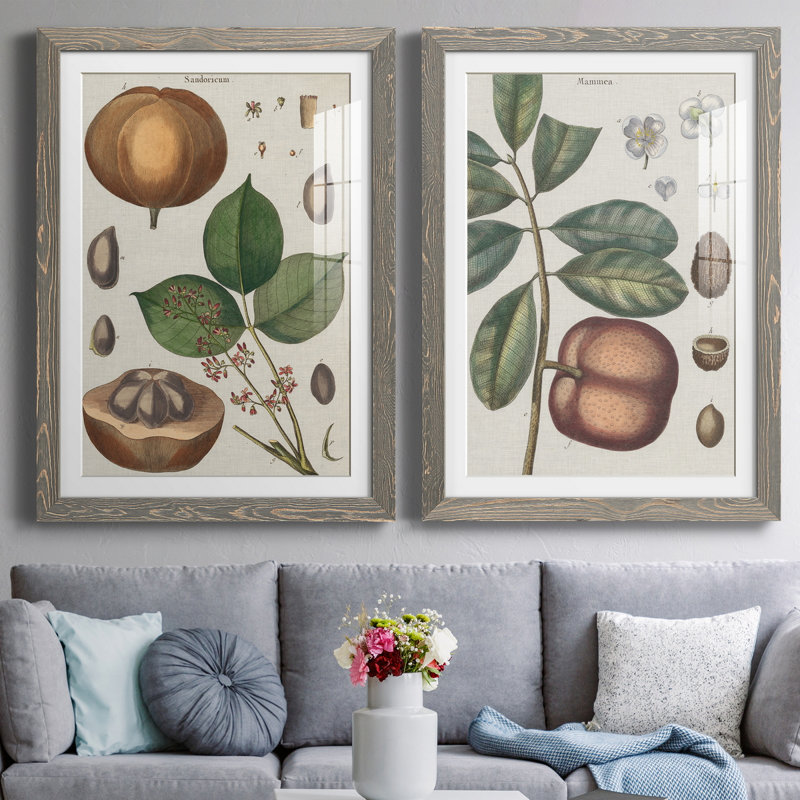Exotic Botanique II, reproduction encadrée de qualité supérieure - prête à être accrochée, Cadre en papier gris, Blanc