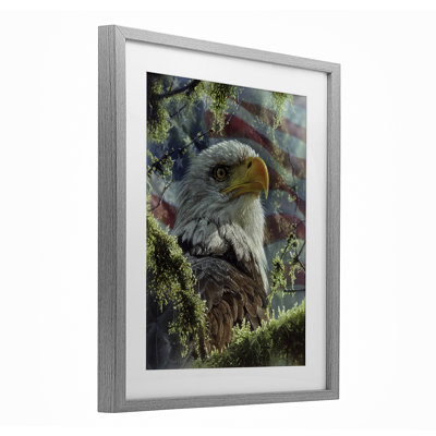 High & Mighty America Framed Print Under Glass, design by Collin Bogle