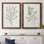 Toile simple encadrée Premium Sprig III - prête à être accrochée-1902786450-1902786449