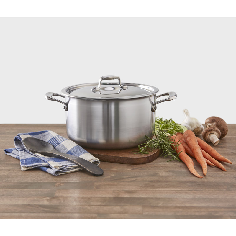 NUCU Stainless Steel Stock Pot, 9.5 Qt.