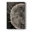 ABSTRACT Series CXCV - Gallery Cavas sur mesure-230558021
