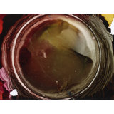 Dark Lens Print by KC Pollak