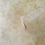 Elegance Collection Metallic Plaster Wallpaper Roll-1167304920