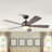 Brandson 52'' Ceiling Fan with LED Lights-1567858293