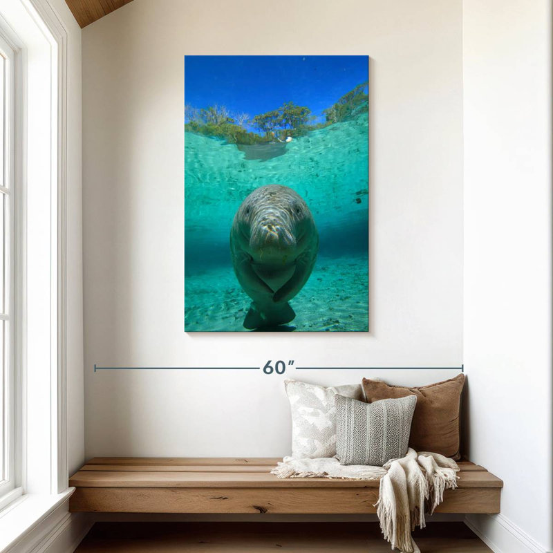 Brampt Crystal River Manatee, 45" H x 30" W