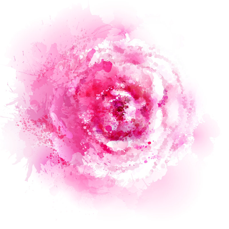 Felisa Pink Rose - Wrapped Canvas Print, 30cm H x 30cm W x 3.8cm D