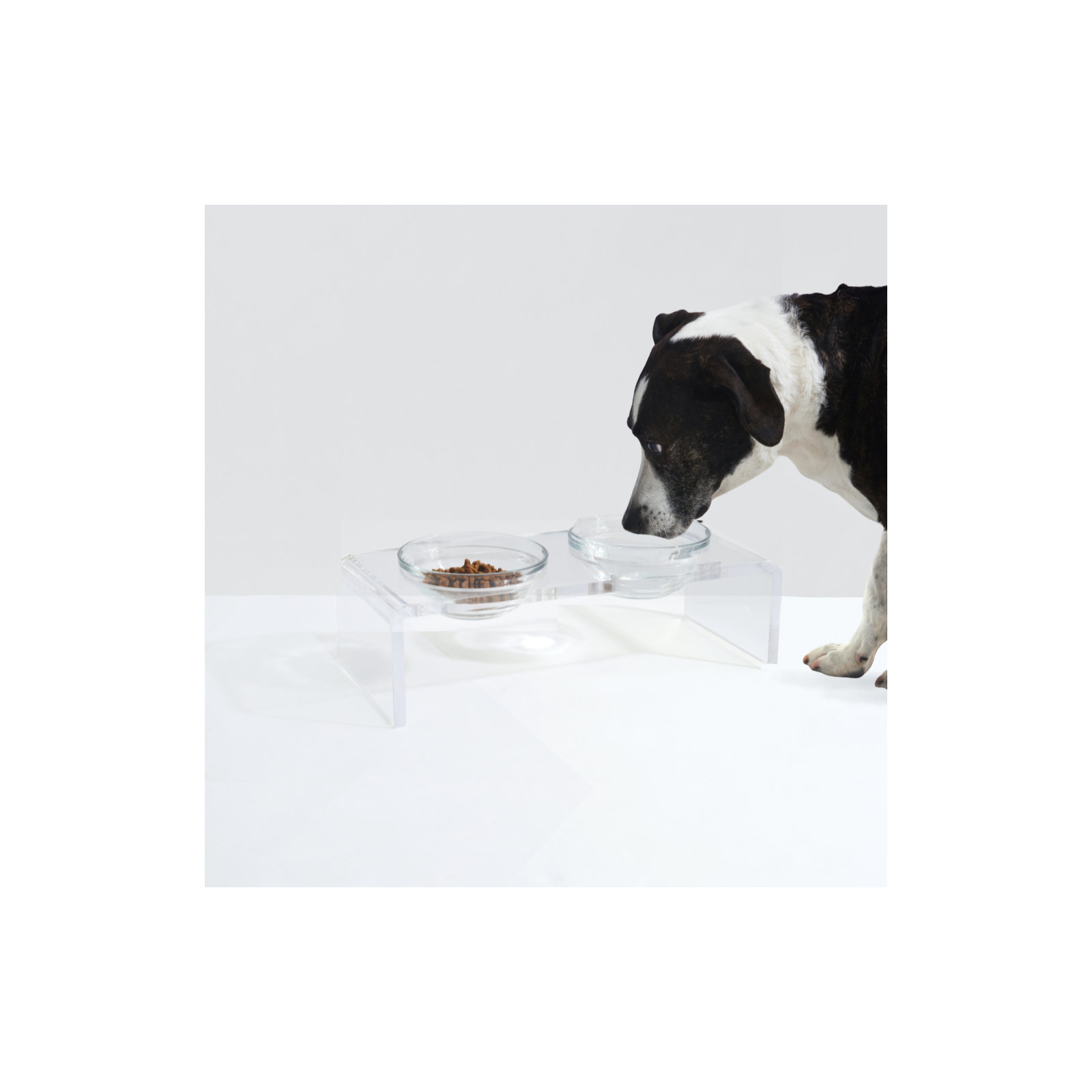 Glass Bowl Clear Elevated Feeder, 4 Cups