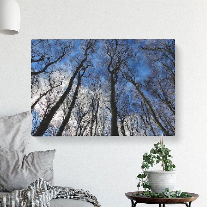 Beautiful Forest - Wrapped Canvas, 35cm H x 50cm W x 3cm D