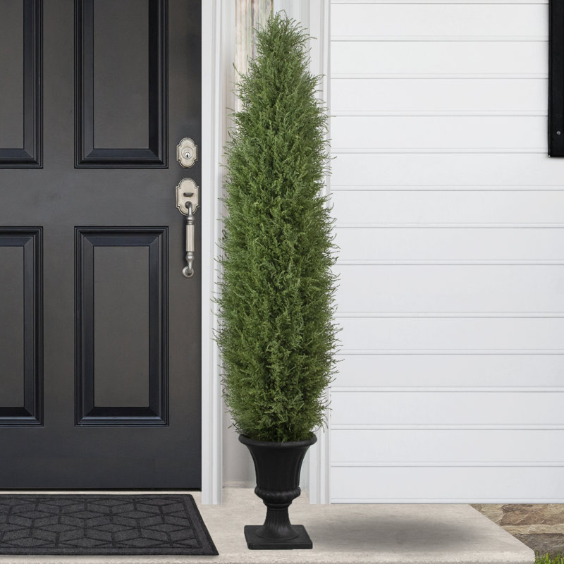 5'' Artificial Cedar Pine Arborvitae Tree In Urn Style Pot  Unlit
