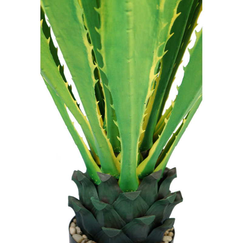 Agave Panama Real Touch