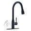 Robinet de cuisine SUNRINX-94553825