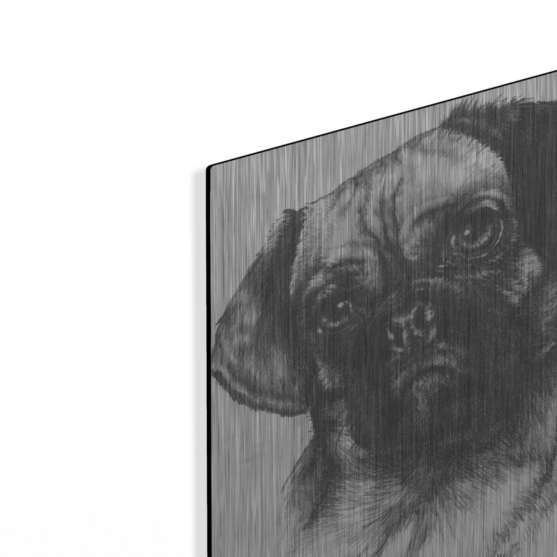 " Puggle " by Barbara Keith, 16" H x 12" W