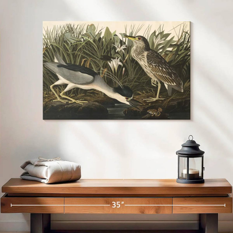 Héron nocturne des oiseaux d'Amérique, H 16 po x l 24 po