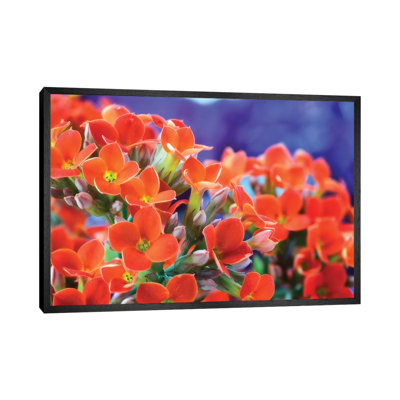 Flowers 1 Piece Wall Art on Canvas