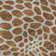 Premium Machine Washable Prisco Paprika Rug