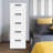 Journii 5-Drawer Plastic Storage Cabinet, 11.81" X 15.75" X 33.07"-1648181049
