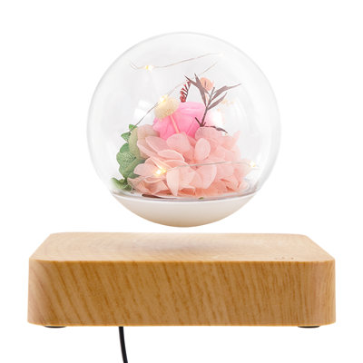 Kedeshia 3.35'' LED Table Lamp