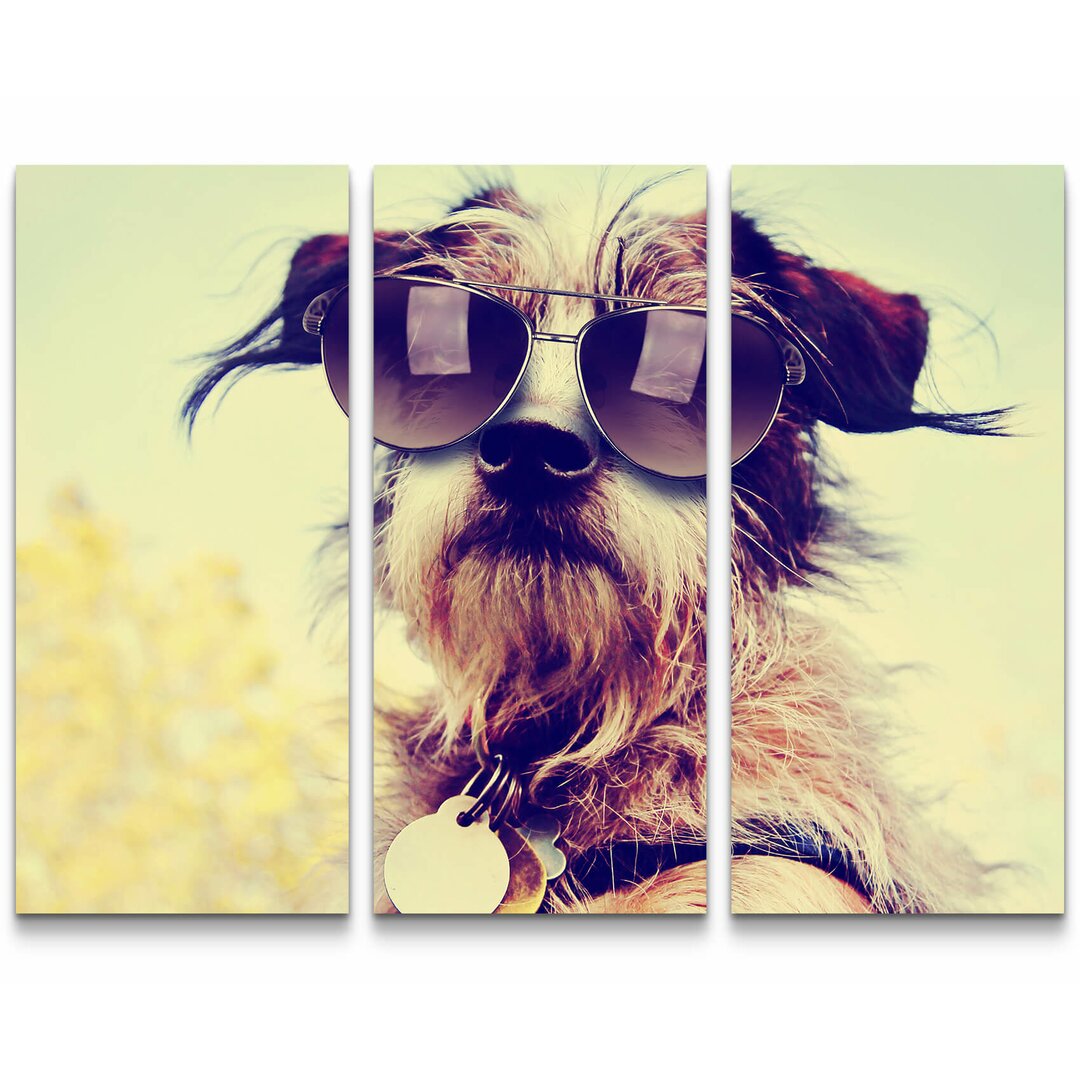 3-tlg. Leinwandbilder-Set Chihuahua mit Sonnenbrille