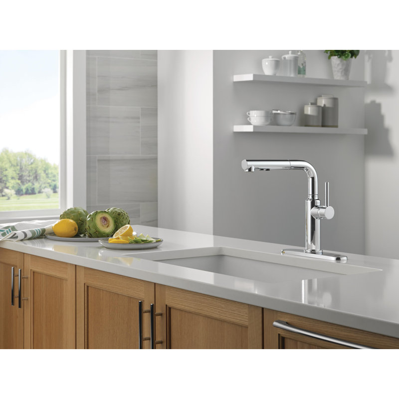 Robinet de cuisine extracteur Daneri, robinet d'évier de cuisine à poignée simple, Chrome