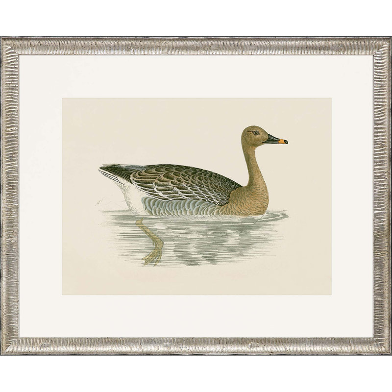 Bean Goose Silver Framed Print Wall Art