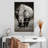 Brampt White African Rhinoceros-108501266