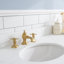 Palace 72'' W Double Vanity-566214677-631026152