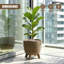 Pot Planter-1997531617-1997531619