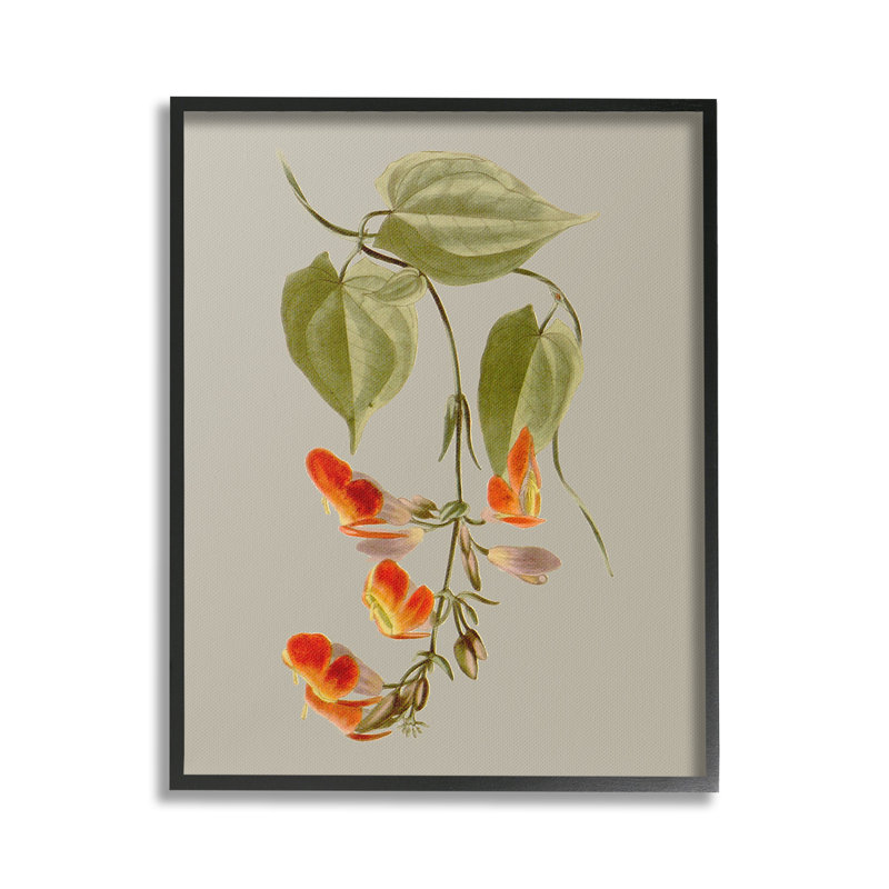 Vigne avec fleurs, Giclée encadrée noir minuit, H 30 po x l 24 po