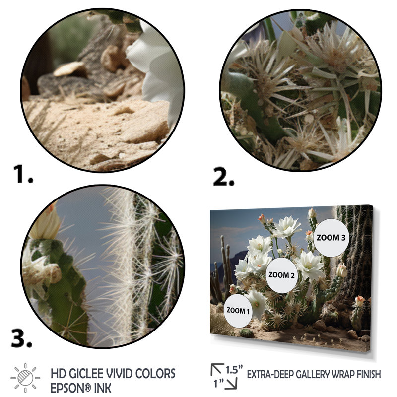 «Malaina White Green Cactus Desert Blooms - Cactus», reproduction sur toile, H 34 po x l 44 po x P 1,5 po, Toile tendue