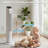 36" Tower Fan White ABS Plastic Remote Control Oscillating Timer