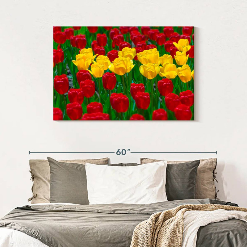 Harnek Wisconsin Spring Tulips, 30" H x 45" W