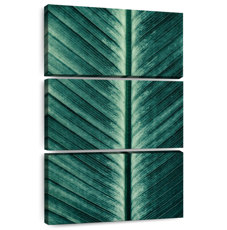 Feuille de palmier Harnek devenant blanche, H 32 po x l 20 po