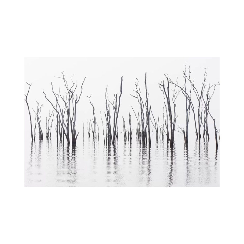 Africa, Zimbabwe, Matusadona National Park by Jaynes Gallery - Wrapped Canvas Print, 30.48cm H x 45.72cm W x 1.905cm D