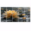 Étang de lotus tropical gris beige avec photo I - lotus-1414684680