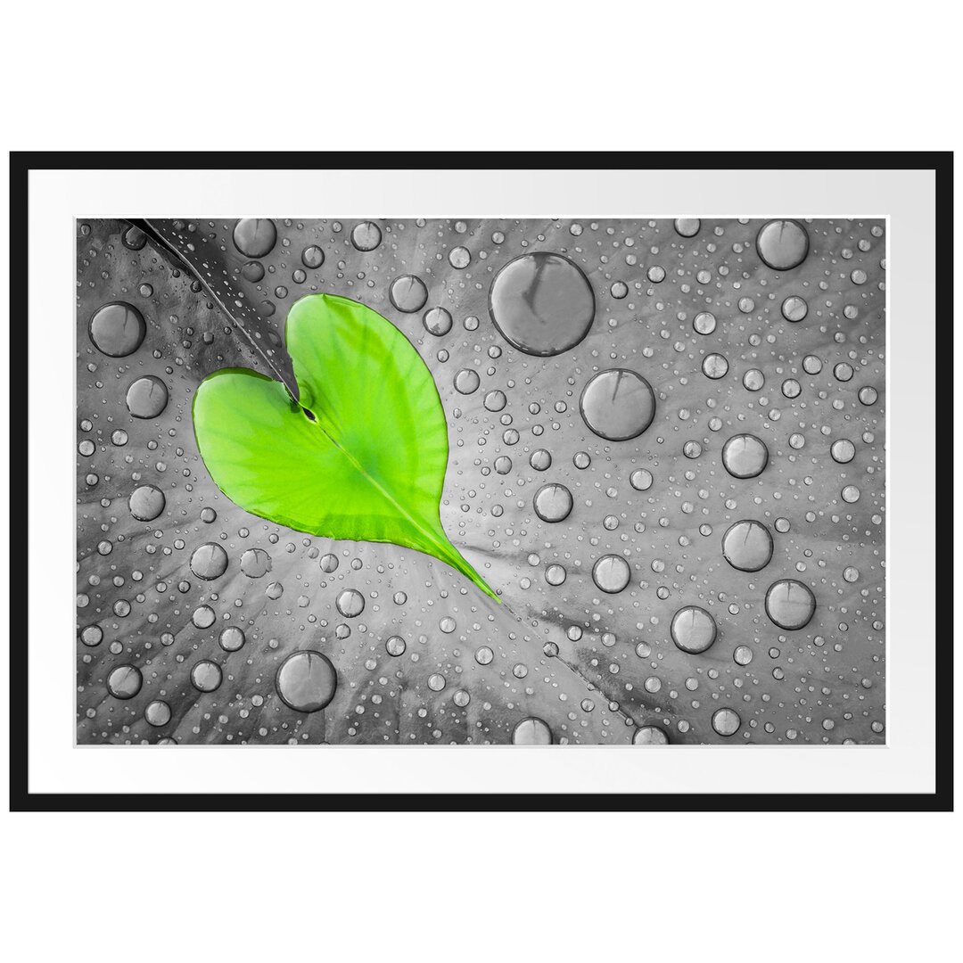 Gerahmtes Poster Dewdrop Heart