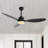 Clarra 52'' Ceiling Fan with LED Lights-1890635366