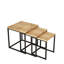 Nesting Table (3 Pieces)-448928383-448928380