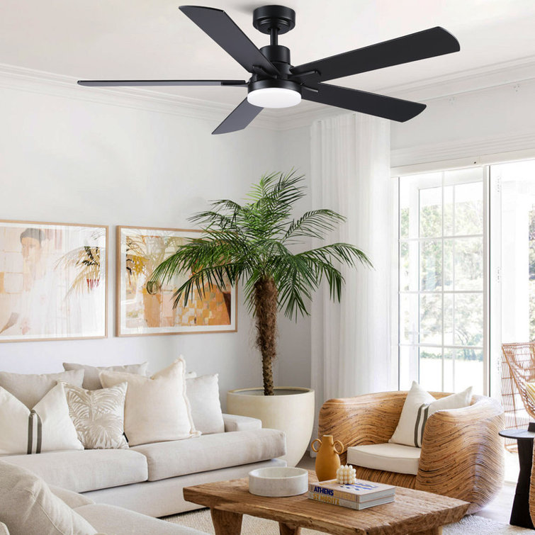 Modern 52" Ceiling Fan with Light and 5 Blades
