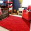 Long-haired Indoor Area Rugs-123279374