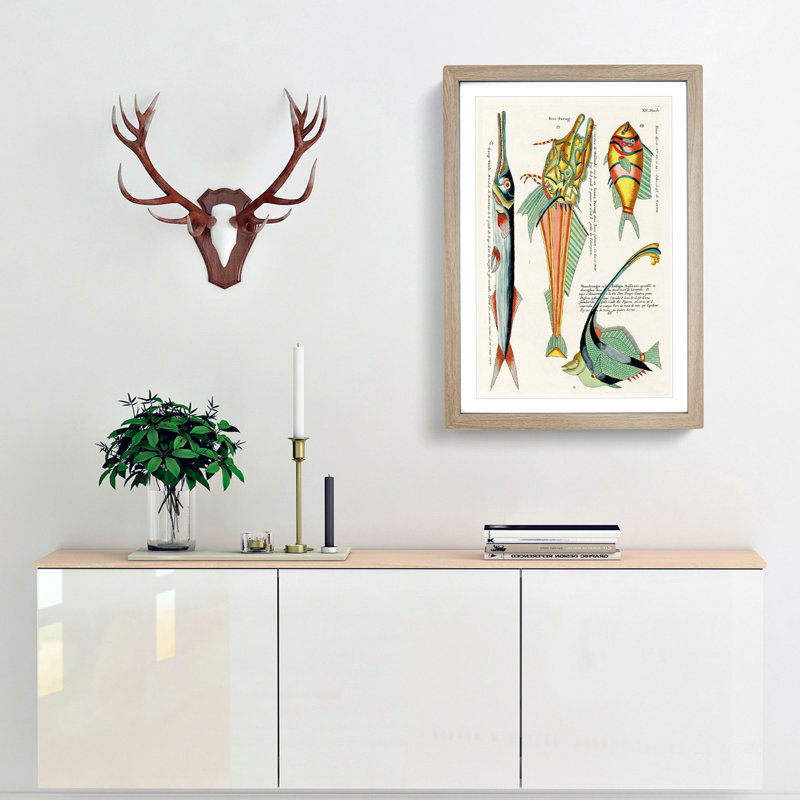 East Indies Fish Illustrations XIV by Louis Renard - Picture Frame Graphic Art Print, 36cm H x 27cm W x 2cm D, Oak Framed