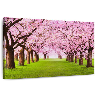 Harnek Cherry Blossom Grove