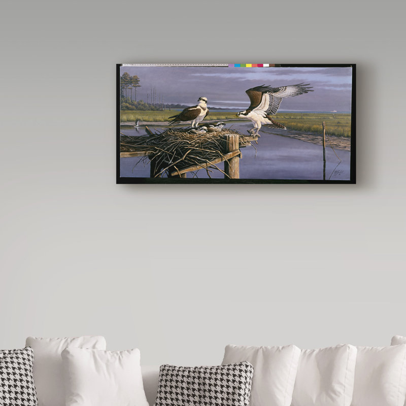 «Chesapeake Treasurer Osprey» par Berrien, impression sur toile tendue, H 16 po x l 32 po x P 2 po