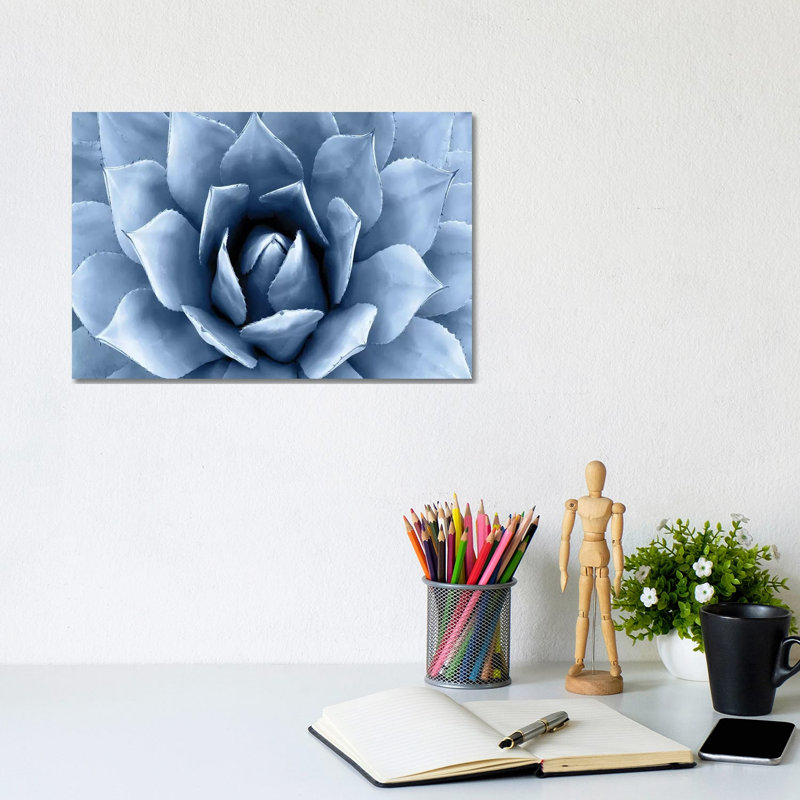 Indigo Succulent II 1 Piece Wrapped Canvas Wall Art, 30.48 cm H x 20.32 cm W x 1.91 cm D