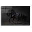 «Onyx» par PhotoINC Studio-567545986