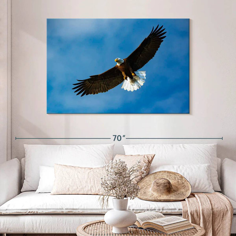 Brampt Eagle From Below, 32" H x 48" W