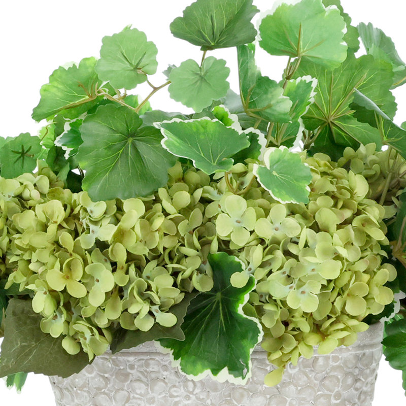 Hortensias disposés avec des feuilles de géranium dans un vase en pierre, Vert