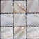 SeaTile 1" x 1" Seashell Grid Mosaic Wall & Floor Tile
