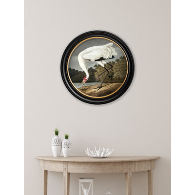 Hooping Crane In Round Frame by Audubon - Single Picture Frame Print on Archival Matt 230gsm Paper