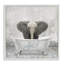 Bébé éléphant à l'heure du bain-71019228-71019230